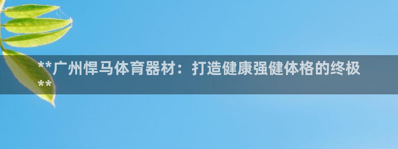 富联娱乐平台开户要钱吗：**广州悍马体育器材：打造健