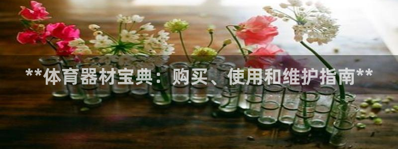 富联平台主管代理：**体育器材宝典：购买、使用和维护