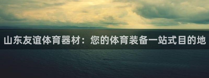 富联是什么平台：山东友谊体育器材：您的体育装备一站式