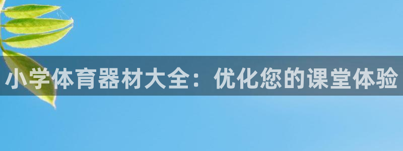 富联是什么意思：小学体育器材大全：优化您的课堂体验