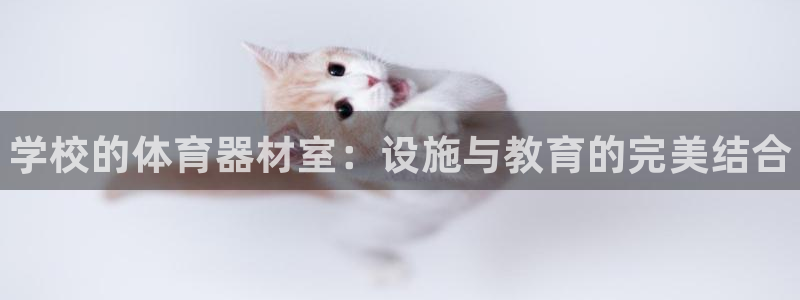 富联娱乐客服微信怎么加:学校的体育器材室:设施与教育的完美结